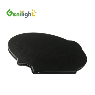 Dimensão do ecrã 60*30 cm Sinais eletrônicos de néon com LED de design e função SDK